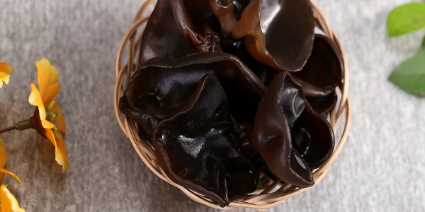 ��Ѫ˨���˳�ʲô�� ��Ѫ˨������ʳע������